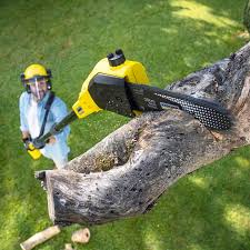 Best Seasonal Cleanup (Spring/Fall)  in Bellevue, WI